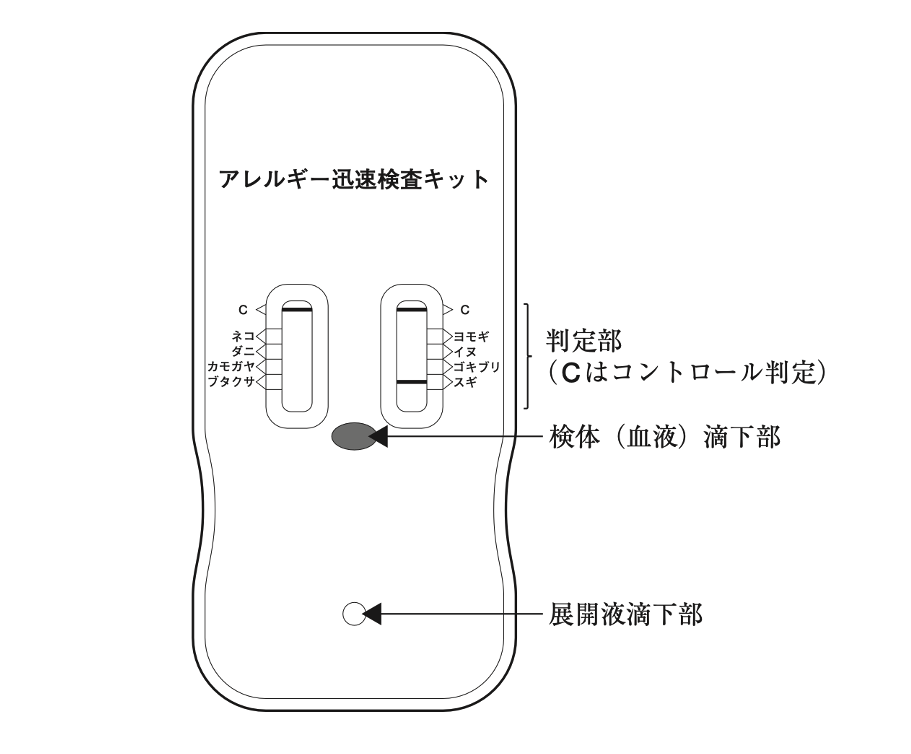 解説画像